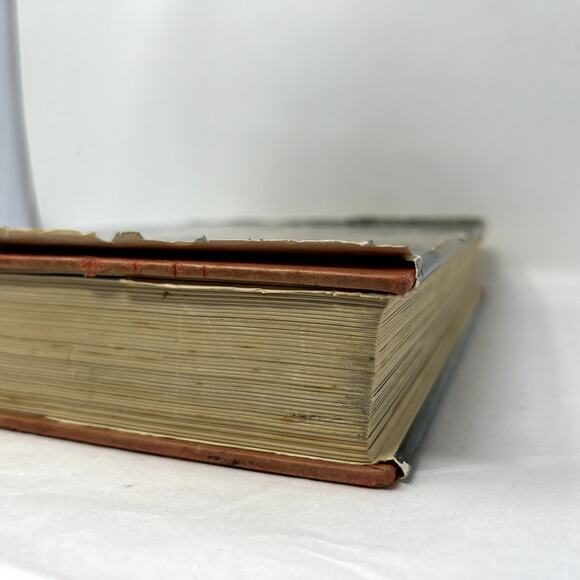 Larousse Encyclopedia of Animal Life - 1967 Paul Hamlyn Limited hard Cover VTG - Picture 9 of 13